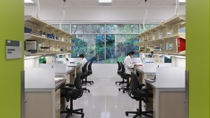 UCSF Institute for Regeneration Medicine, Glumac