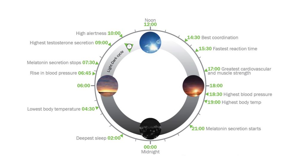 How Circadian Lighting Increases