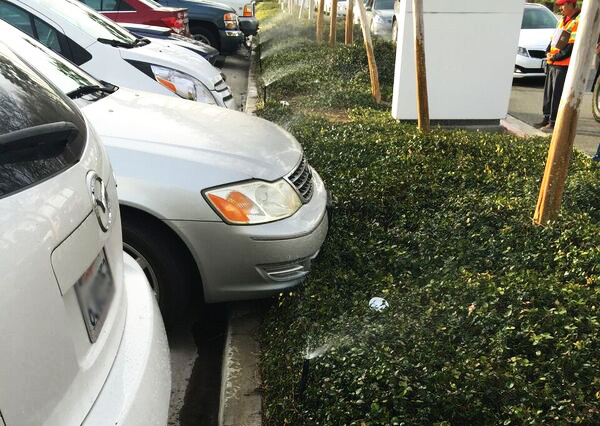 Damaged Sprinkler Heads in Parking Lot - Glumac